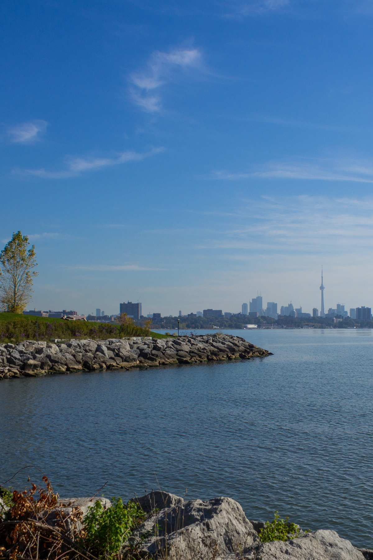 Queens Quay Convenience